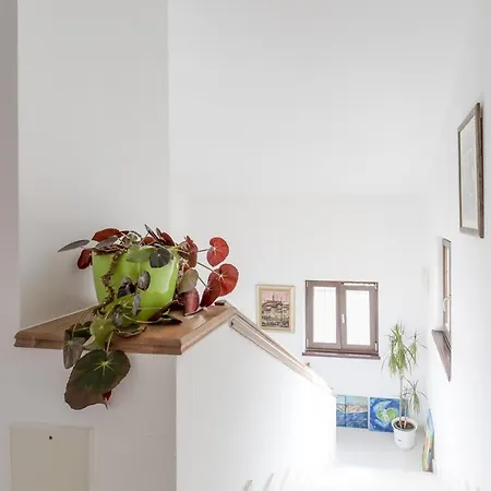 Ruzica Guest house